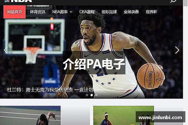 介绍PA电子